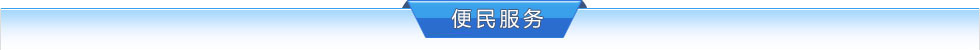 行政服务
